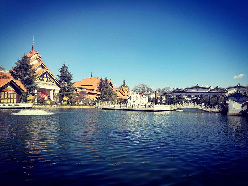 AG8����_AG8���޼��š�(�й���)�ٷ���վ