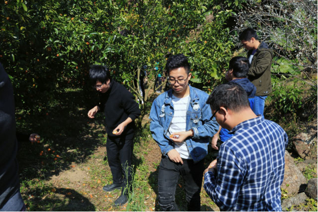 AG8����_AG8���޼��š�(�й���)�ٷ���վ